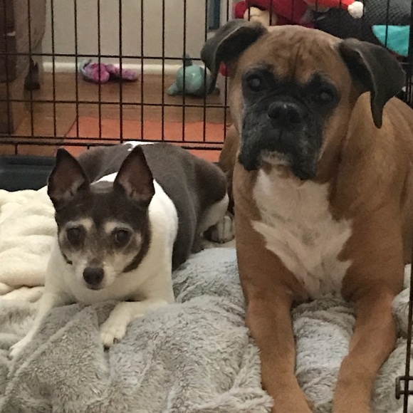 Meet your Posher, Chris - Picture 2 of 16